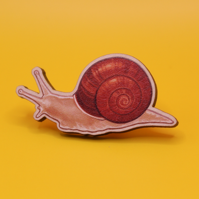 A Friend 2" Wooden Pin