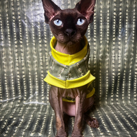 Les Cactus - Thumbnail 2