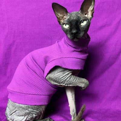 Imperial purple - ribbed for her pleasure 