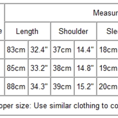 Ladies sheer top mini dress