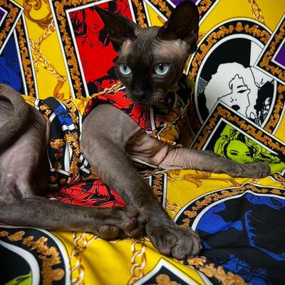 Pictures of you- sleepwear