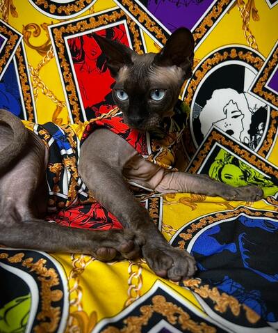 Pictures Of You- Sleepwear