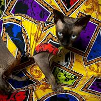 Pictures Of You- Sleepwear - Thumbnail 2