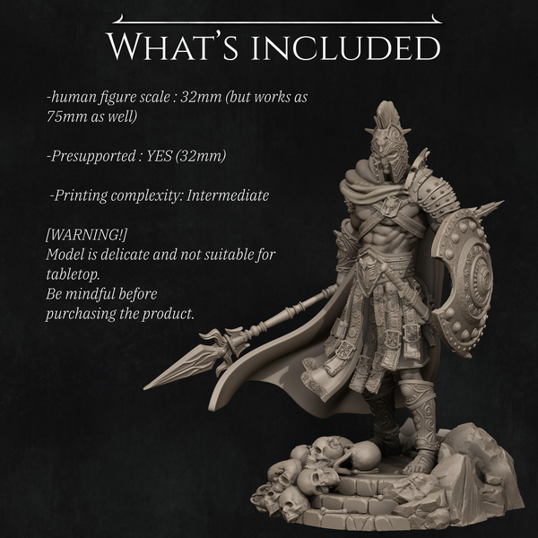 3D digital program for printing on a 3D printer.STL