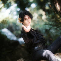 Cardan prints (4 versions) - Thumbnail 1