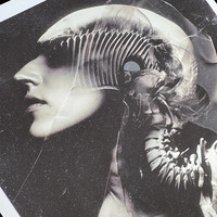 Shedding Bones I - small giclée print - 8" x 10" - Thumbnail 3