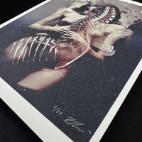 Shedding Bones II - small giclée print - 8" x 10" - Thumbnail 1