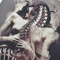 Shedding Bones II - small giclée print - 8" x 10" - Thumbnail 2