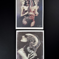 Shedding Bones II - large giclée print - 16" x 20" - Thumbnail 3