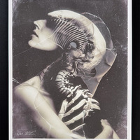 Shedding Bones I - large giclée print - 16" x 20" - Thumbnail 2