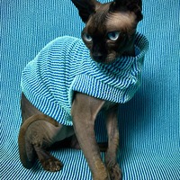 Raised Lines (Midnight Turquoise)  - Thumbnail 2