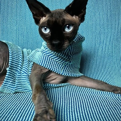 Raised lines (midnight turquoise) 