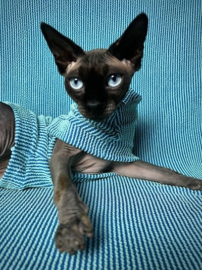 Raised Lines (Midnight Turquoise) 