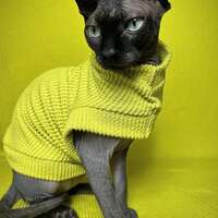 Raised Lines (Chartreuse) - Thumbnail 2