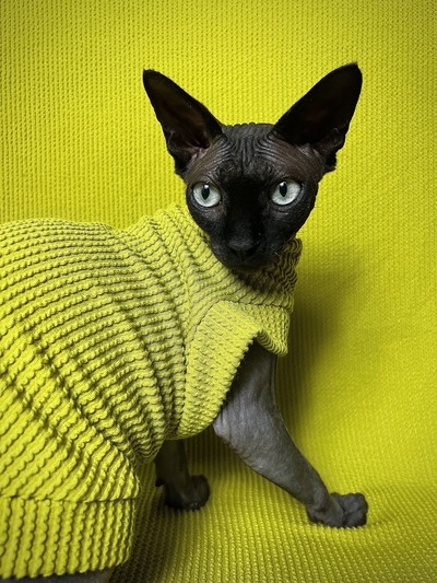 Raised Lines (Chartreuse)