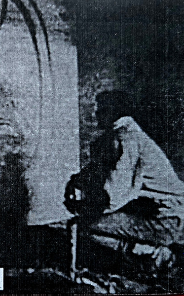 Garlands & Tense Relative C-30