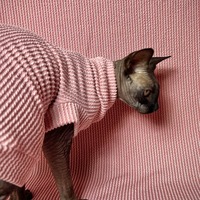 Raised Lines (Dusty Rose) - Thumbnail 2