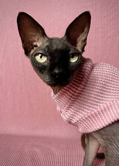 Raised Lines (Dusty Rose)