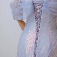 Sweetheart Neck Sequined Fish Tail Evening Gown Light Luxury Adult Gift Niche Bride Toast Dress Banquet Dress Customized - Thumbnail 4