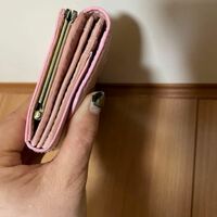 ANNA SUI Pink Butterfly Iridescent Wallet - Thumbnail 5