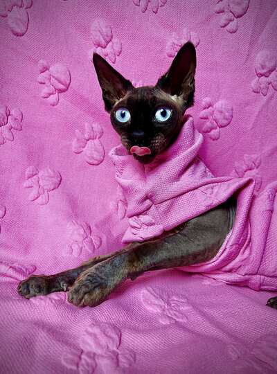 Minnie - Knit Fleece