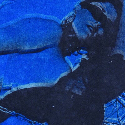 Shredded nerve 'the meaning of life' cd