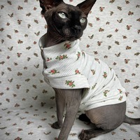 Roses - Thermal - Thumbnail 2