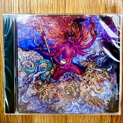 Tetragrammacide 'cyber-tantric paradigm of radical sri-vidya' cd - Thumbnail 4