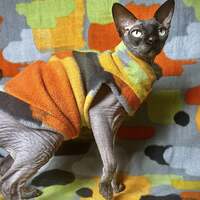 Rothko - Luxe Fleece - Thumbnail 1