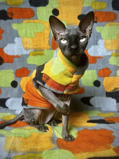 Rothko - Luxe Fleece