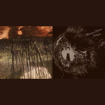 2 album bundle (menace ruine)