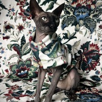 European Tapestry - Luxe Fleece - Thumbnail 2