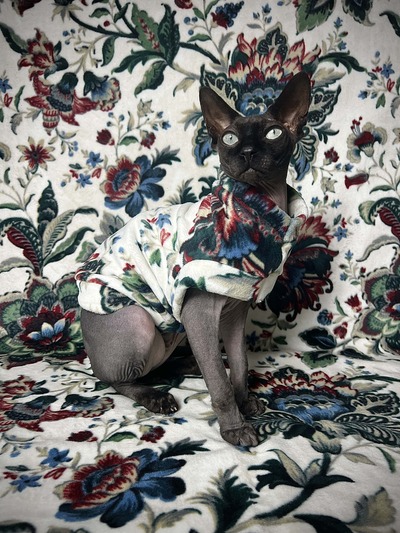 European Tapestry - Luxe Fleece