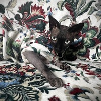 European Tapestry - Luxe Fleece - Thumbnail 1