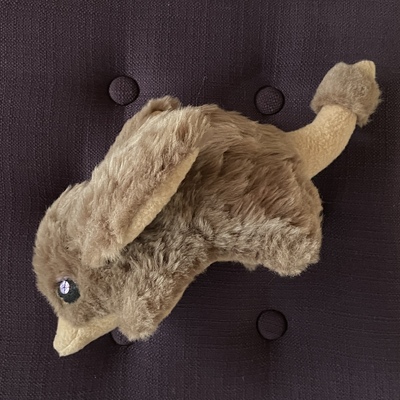 Bilby plush: fluffy