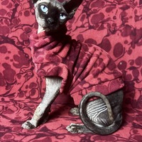 Biomorphic - Luxe Fleece - Thumbnail 2