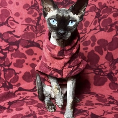 Biomorphic - luxe fleece