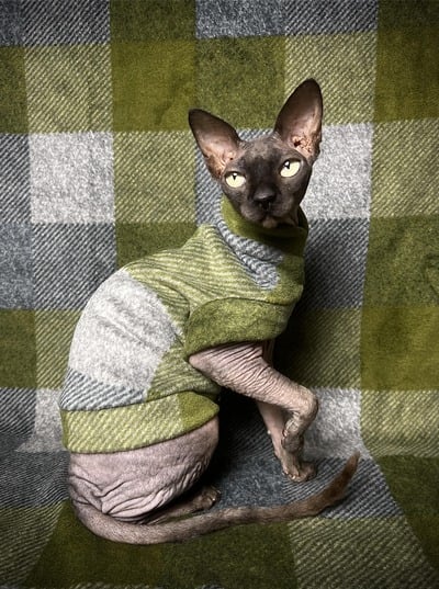 Moss Patchwork - Luxe Fleece