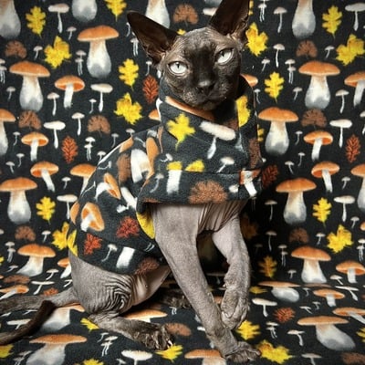 My 😻 smells like 🍄‍🟫 - luxe fleece