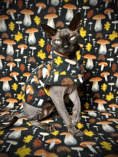 My 😻 Smells Like 🍄‍🟫 - Luxe Fleece