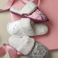 Velvet Slipper - Thumbnail 1