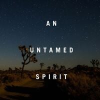 Wild Country Aftershave Splash - Thumbnail 3