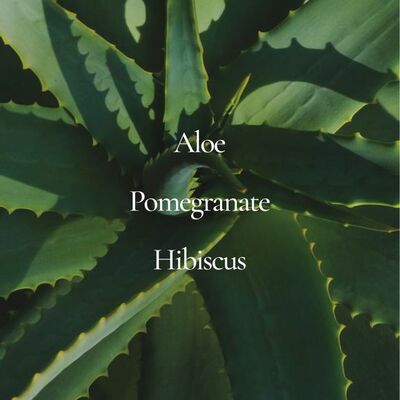 Chi® essentials replenishing shampoo - final sale