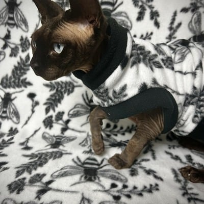 Beehive - luxe fleece