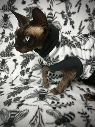 Beehive - Luxe Fleece