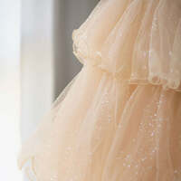 Champagne Strapless Tulle Long Prom Dress, Beautiful Formal Evening Dress - Thumbnail 2