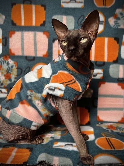 Luggage - Fleece