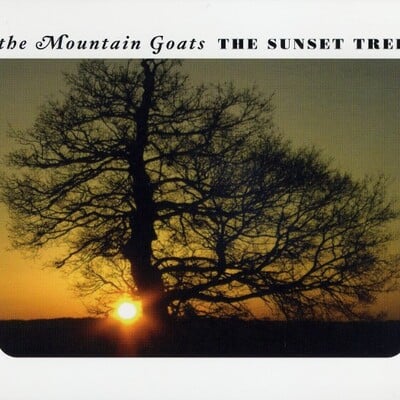 The mountain goats - the sunset tree (20th anniversary/apricot vinyl)