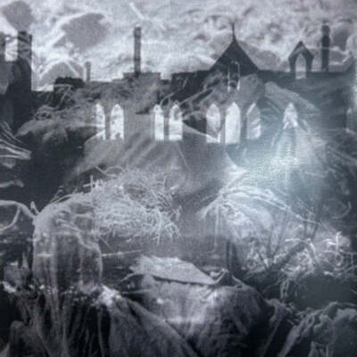 Thirsty blade 'mangled honey' cdr