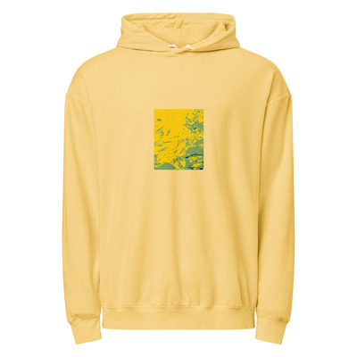 Unisex garment-dyed lightweight hoodie - back to the future